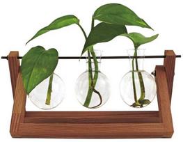 Winkee - Hydro Vases Blossom - Vaza