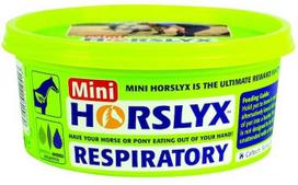 Horslyx - kvėpavimo takų apsaugos mini 650 g