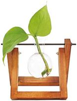 Winkee - Hydro Vases gėlių vaza