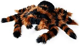 Mikamax - milžiniškas tarantulas