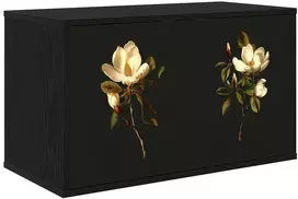 TV staliukas Sieninis televizoriaus stovas BREMEN 69 x 33 x 40 cm