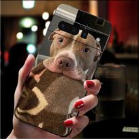 Phone Case For Google Pixel 10 9 Pro XL 9A 8 7 6 Pro Pixel 8A 7A 6A Pixel 8 7 6 5 Pitbull Terrier Dog Google Pixel 9
