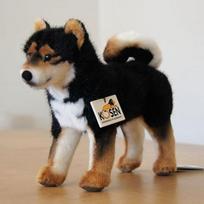 Kosen (Shiba Inu, Black) juoda