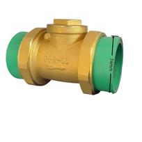 Manual Water PPR Bronze Swing Check Non Return Valve DN20-DN63 with 3-Year Warranty and  Support (Brass,Low Pressure&PPR40) žalvaris