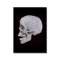 Damieno Hirsto meno plakatas Kaukolės drobės tapyba Sienų paveikslai ir spaudiniai Šiaurės šalių modernus namų dekoras Berėmiai paveikslai 21cm×30cm NoFrame