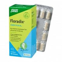 Salus Floradix Iron + B12 40 Capsules