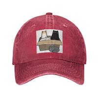 Unisex Baseball Hats Cats In a Box Denim Outdoor Baseball Caps Hip Hop Cap Casquette One Size