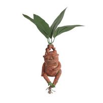 Mandragoros Statulėlė Dervos Ornamentas Gyvas Veidas Dervos Statulėlė Namų Sodo Dekoras Juokingas Augalas Rankdarbis