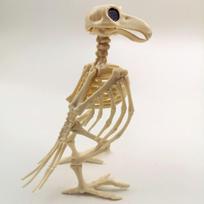Dekoracija Helovino Rekvizitas Siaubo Skeletas Varna Gyvūno Skeletas Kaulai Varnos Skeletas Helovino Dekoracija ryškiai rožinė