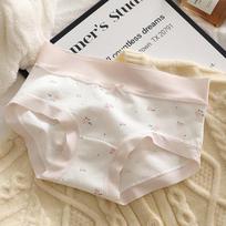 Floral Mid-Waist Stretchy Butt-Lifting Seamless Underwear for Women & Teens Medium rožinė