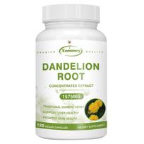 XEMENRY - 1575 mg Dandelion Root Extract - Liver Health - Digestive Health 120*1