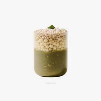 YOUNGRANU Protein Fit Shake #Mugwort Latte 45g/3bag #Mugwort Latte 45g/3bag