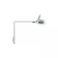 MAUL LED didinamoji lempa Crystal Dimmable White