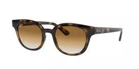 Ray-Ban RB4324 Akiniai Nuo Saulės Unisex 51/20/150 mm Dryžuota Havana Žalia Classic G-15