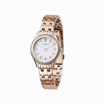 Pierre Cardin Moteriškas Laikrodis CF.0611.SC.RG - 30mm Rožinis Auksas Nerūdijantis Plienas Tinklelis