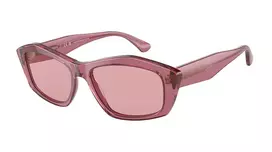 EMPORIO ARMANI Moteriški katinuko akies formos akiniai nuo saulės EA4187-554484 Skaidrūs pilki Pilkas gradientas 55/16/140 mm