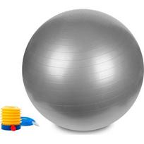 Hastings gimnastikos kamuolys 65 cm, sidabrinis