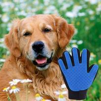 Glove brush - Unspecified - Silica gel - Breathable fabric - For medium dog