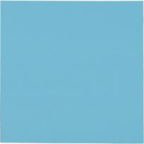 Thermal Grizzly Minus Pad Pro - 100x100x1.5mm