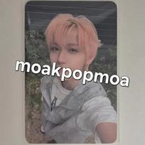 AHOF Daisuke Runtsu Kobo Poka Transfer/Sale sell wts