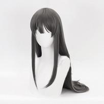 Sakurajima Mai Cosplay Perukai Galvos apdangalai Rascal Nesvajoja apie Kiškučio Mergaitę Senpai Sintetiniai Plaukai Ilgas Tiesus Pilkų Plaukų Perukas One Size&Sakurajima Mai