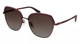 Moteriški Police akiniai nuo saulės SPLC2456GL3G Havana Acetate Brown Gradient 56/17/135 mm