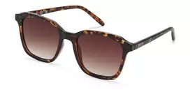 Kenneth Cole KC3005-5353F Unisex Akiniai Havana/Rudas Rėmas Rudas Gradientinis Lęšis 53mm