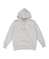 When I Was Young Arc Logo Heavy Fleece Hoodie (Light Gray) Gray/Xl