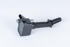 Ritė, uždegimas BorgWarner (BERU) ZSE237