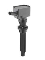Ritė, uždegimas BorgWarner (BERU) ZS622