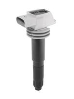 Ritė, uždegimas BorgWarner (BERU) ZSE052