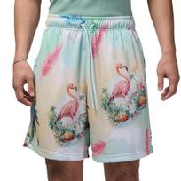 Jordan Essentials Men's Printed Mesh Shorts IB3012-133 L