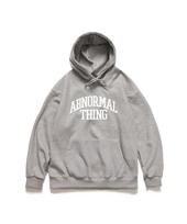 Appnol Mersing Abb Loose Fit Hoodie Grey (Abb Hood Grey) S