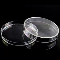 Disposable Plastic Petri Dish