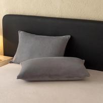 2025 New autumn and winter new milk velvet solid color simple, soft and skin friendly single pillowcase, a pair of pillowcases 48x74cm