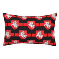 Belarus Pogonya Flag Square Protest Symbol Belarusian Rectangle Pillowcase Cushion Cover Decorative Bedroom Comfort Throw Pillow 60x40cm