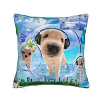 Cat Frutiger Aero Eco Funny Pillowcase Polyester Cushion Cover Decorative  Throw Pillow Case Cover Home Square 40X40cm 40x40cm