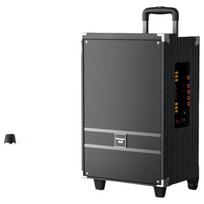 Newmine N519 12-inch Portable Bluetooth Trolley Speaker with Dual Mics (CN version)