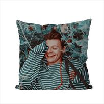Singer H-harry Styles Pillow Case For Car Sofa Decorative Home Double-sided Print Plush Square Throw Pillow Cushion Cover 30x30cm