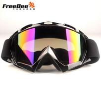 Cycling Protective Goggles Off-Road Motorbike Riding Skiing Snowboarding Outdoor Sports Safety Eyewear With Interchangeable Matte Black Frame with Mirror Lens