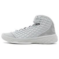 Nike Zoom Kobe 3 Fade To Black Matte Silver Matte Silver 869453-004 41