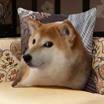 Shiba Inu Cute Pillow Case Pillowcase, Double-sided Printed, Sofa Cushion, Bedroom Headboard Pillow 30x30cm