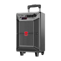 Malannda Storm M+9086 Portable Outdoor Karaoke Speaker (CN version)