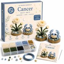 12 Zodiac Signs DIY Beaded Garden Kit, Creative Zodiac Bracelet Necklace Making Kit violetinė