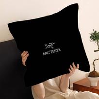 Classic Outdoor LOGO A-Arc T-Teryx Vintage Pillow Cushion Cover Pillowcase Living Room Sofa Home Decor Customized 30x30cm