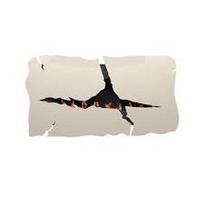 GlammFire APOLLO IV WHITE pakabinamas biožidinys