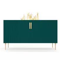 DIMPLEX PRINS GREEN cassette 500 pastatomas vandens garų židinys-spintelė
