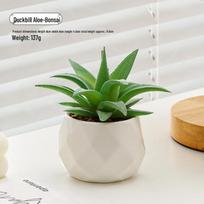 Small Indoor Potted Succulent - Artificial Green Plant Ornament for Home, Office, or Desktop Decor