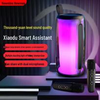 Newmine M18 Wireless Bluetooth Karaoke Speaker with Dual Microphones CN plug (adapter included)
