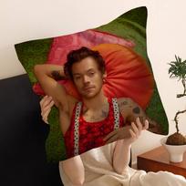 H-Harrys Music S-Styles Office Cushion Pillowcase Car Cushion Cover45X45CM Lumbar Pillowcase Sofa Pillowcover 30x30cm